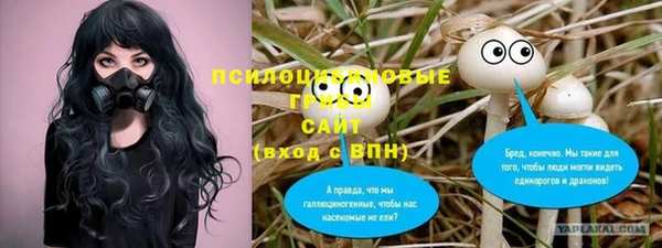 ГАЛЛЮЦИНОГЕННЫЕ ГРИБЫ Липки