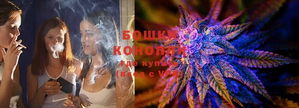 ГАЛЛЮЦИНОГЕННЫЕ ГРИБЫ Липки