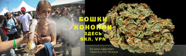 apvp Верея