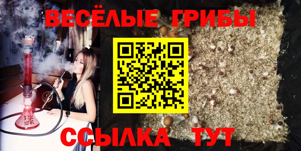 Псилоцибиновые грибы ЛСД  Псилоцибиновые грибы Magic Shrooms  Калининград 
