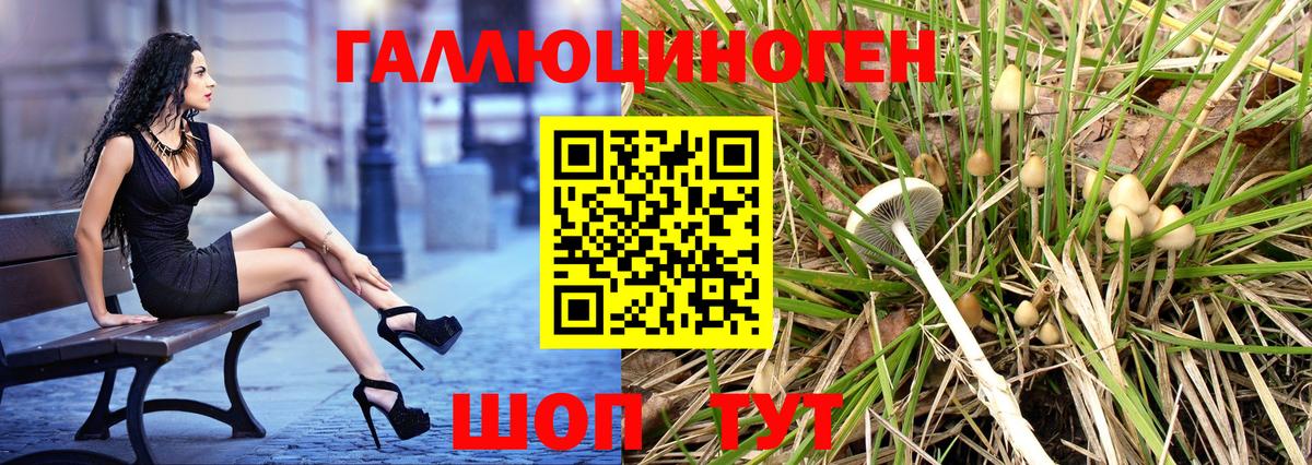 Галлюциногенные грибы мухоморы Калининград