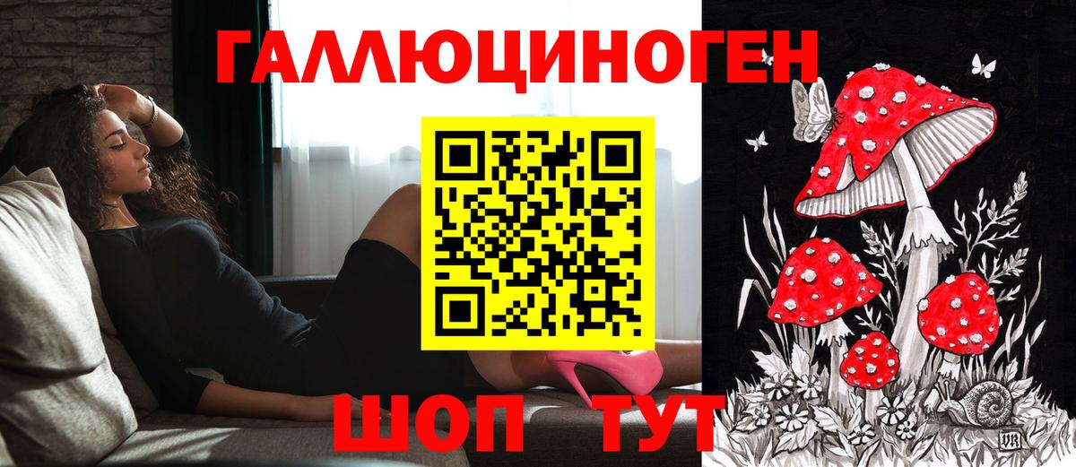 Галлюциногенные грибы прущие грибы Калининград