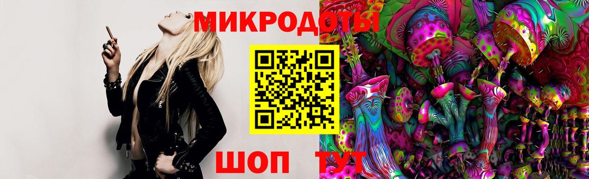 закладка  Галлюциногенные грибы GOLDEN TEACHER  Вход с VPN  Псилоцибиновые грибы Psilocybe  Калининград 